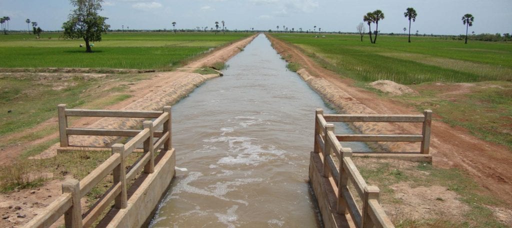 Déjà soumis à une profonde transformation structurelle au cours de ces dernières années, le secteur agricole bénéficie encore une fois d’une attention particulière du Président de la République, SEM Faure Essozimna Gnassingbé, avec notamment des investissements ciblés et des projets d’envergure.