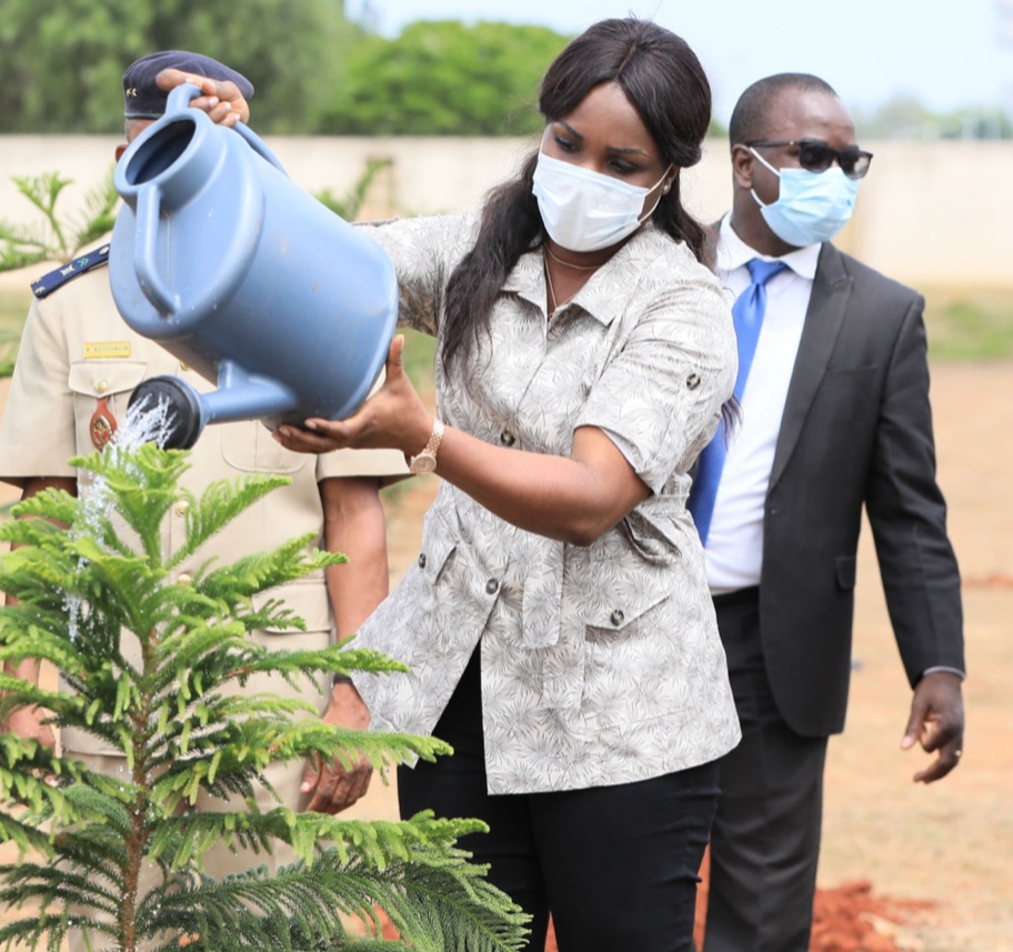 Ce 1er juin 2021, les Togolais ont une fois encore démontré leur engagement à préserver l’environnement, en répondant à l’appel du gouvernement qui, cette année, a lancé une campagne nationale de reboisement. Au palais de la Présidence de la République, la Journée nationale de l’arbre a été observée par plusieurs collaborateurs du Chef de l’Etat notamment les Ministres conseillers et les responsables des services rattachés ainsi que le personnel.