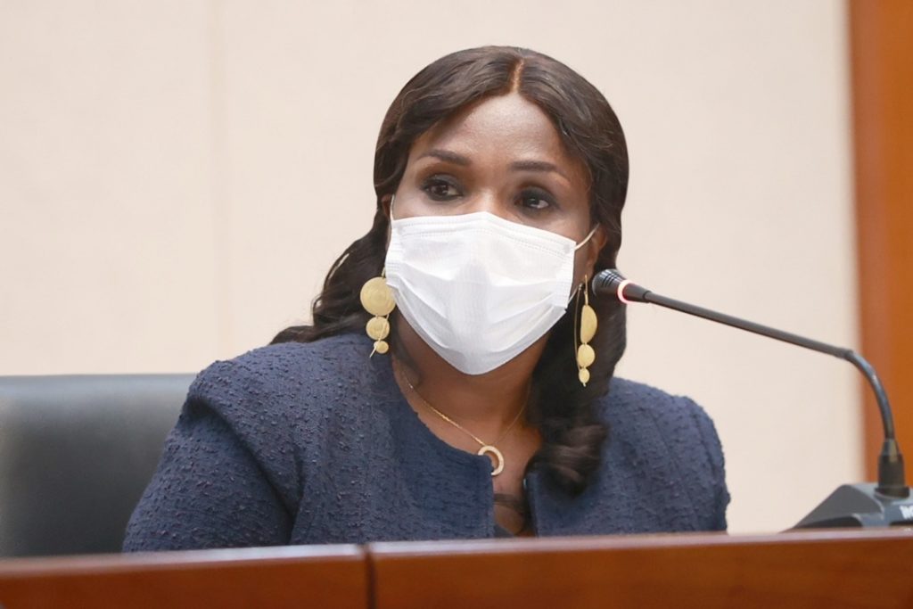 Les travaux d'élaboration du Programme d'investissements publics (PIP) pour la période 2023-2025 ont été lancés ce 31 janvier 2022 à Lomé, au nom du chef de l'État, par Madame Ablamba Ahoéfavi Johnson, Ministre, Secrétaire Général de la Présidence de la République qui avait à ses côtés, le ministre conseiller Simféitchéou PRE.